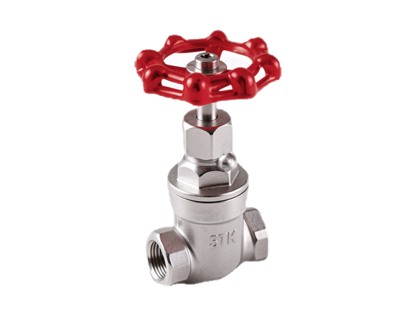 Gate Valve
