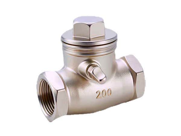 Check Valve